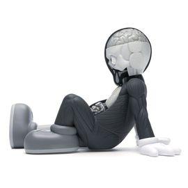 https://cdn.fairart.io/thumbnail_Kaws_Kaws_Companion_Resting_Place_Grey_6_8266a197f9.jpeg - 5