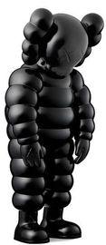 https://cdn.fairart.io/thumbnail_Kaws_What_Party_Figure_Black_4_e173b10c1e.jpeg - 3