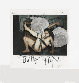 Artwork - Butterfly