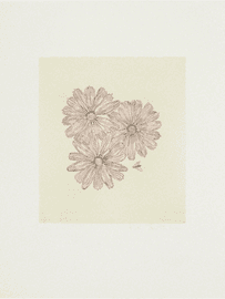 Artwork - Flower with Bee I