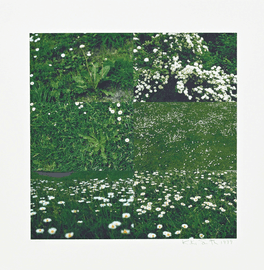 Artwork - Little Meadow