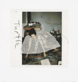 Artwork - Turtle