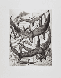 Artwork - Chimney Swifts