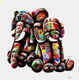Artwork - Elephunkt In The Wild