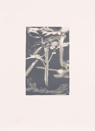 Artwork - Gene