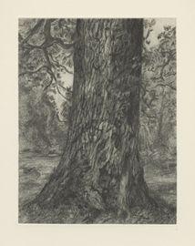 Artwork - After Constable's "Elm"