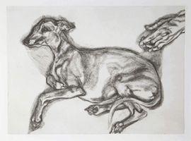Artwork - Pluto Aged Twelve
