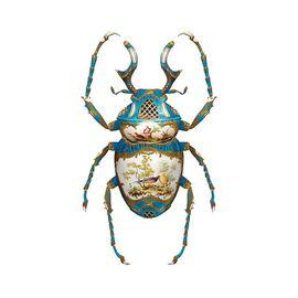 Sevres Dicranocephalus Wallichii