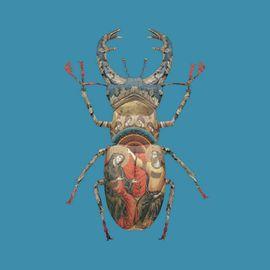 Venetian Stag Beetle
