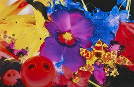 Artwork - Lavinia Plantia