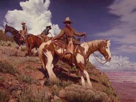 Artwork - High Sun in Arizona