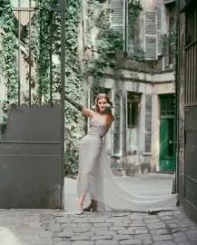 Artwork - Dior Gray Chiffon in Courtyard (Large)