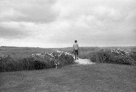 Artwork - Kennedy, John Walking in the Dunes, 1959