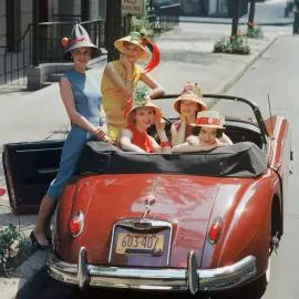Artwork - Red Jaguar, Beach Hat Models (Small)