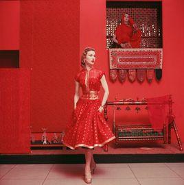 Artwork - Red Sari Dress in Red Room at Moma