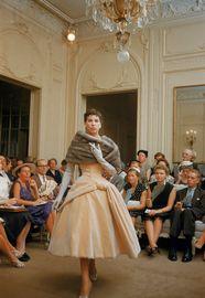 Artwork - Salon Dior Cream Velvet Fur Stole, 1954