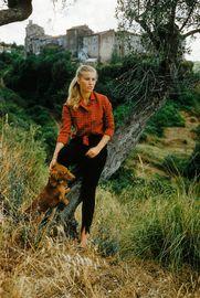 Artwork - San Vittorino Socialite With Dachshund