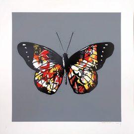 Artwork - Butterfly (Orange)