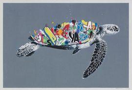 Artwork - Sea Turtle