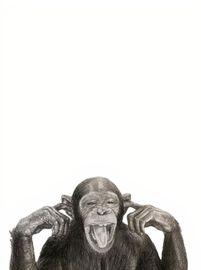 Artwork - Forgotten Monkey 12