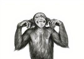 Artwork - Forgotten Monkey 13