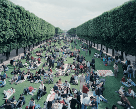 Artwork - Picnic Allee