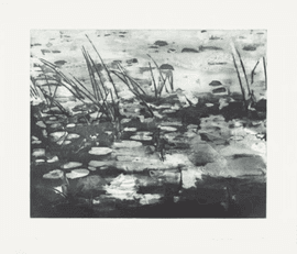 Artwork - Landscape I (Swamp)