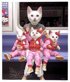 Hello Kitties (AP)
