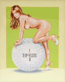 Artwork - Top Flite II