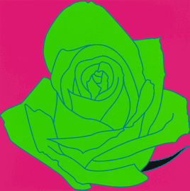 Artwork - Flowers - Rose