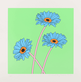 Gerberas
