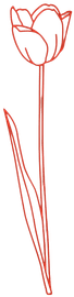 Artwork - Tulip