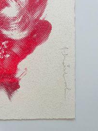 https://cdn.fairart.io/thumbnail_Mr_Brainwash_Diamond_Girl_Red_2_0ac010062d.jpg - 1