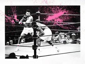 Majestic Ali (Pink)