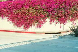 Artwork - Santa Monica, Los Angeles, 2015 (Small)