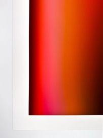 https://cdn.fairart.io/thumbnail_Nick_Thomm_STEMS_Amber_7_7fad16aeb9.jpg - 6