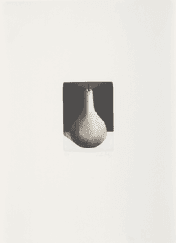 https://cdn.fairart.io/thumbnail_Nicolas_Party_Fruit_1_0a8f93316f.png - 0