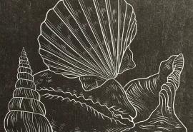 https://cdn.fairart.io/thumbnail_Nicolas_Party_Portrait_With_Shells_2_1f7efdbc23.webp - 1
