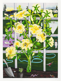 Climbing Rose, 2025