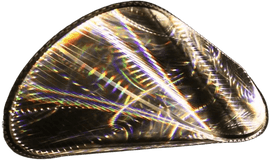 https://cdn.fairart.io/thumbnail_Olafur_Eliasson_Hommage_to_P_Schatz_1_e6e8e10c29.png - 0