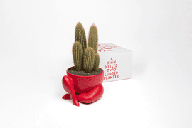 https://cdn.fairart.io/thumbnail_Parra_A_High_Heeled_Two_Legged_Planter_Red_2_f427d16458.png - 1