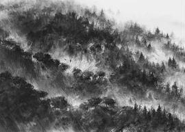 https://cdn.fairart.io/thumbnail_Pejac_A_Forest_2_1fafb4d105.jpeg - 1