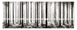Artwork - Linea