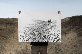 https://cdn.fairart.io/thumbnail_Pejac_Meadow_2_e8b2e24867.jpeg - 1
