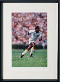Artwork - New York Cosmos
