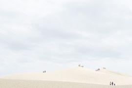 Pyla III (Large)
