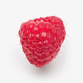Artwork - Raspberry (Small)