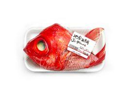 Still Life- Fish (Small)