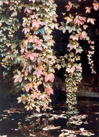 Artwork - Autumnal Fall
