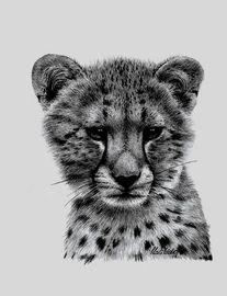 Artwork - Cheetah Study